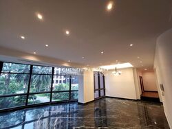 Four Seasons Park (D10), Condominium #497361361